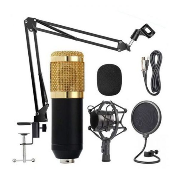 Mic zingyou zyca1 bm800