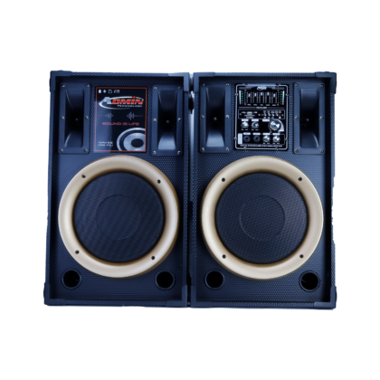 Subwoofer 10 admin 13000