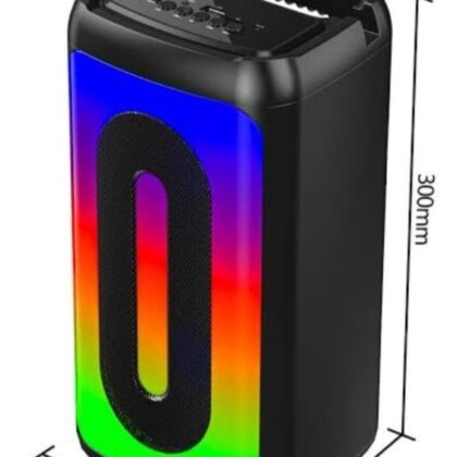 Subwoofer rechargable 6inch admin p61 with mic